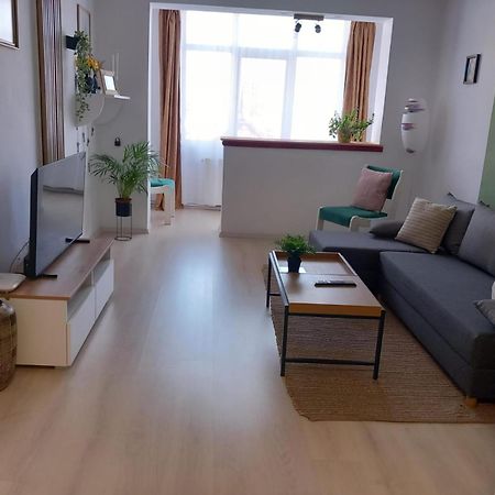 Nya Apartment Sighişoara Eksteriør billede