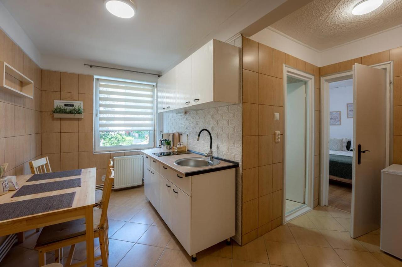 Nya Apartment Sighişoara Eksteriør billede